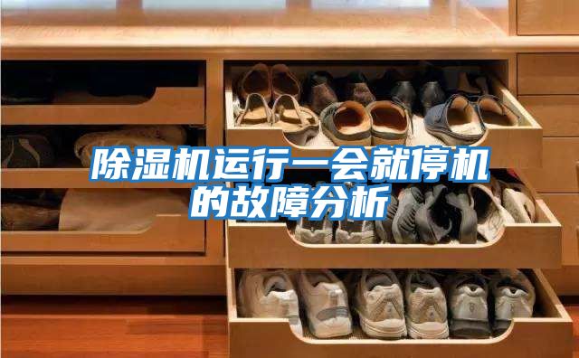 除濕機(jī)運行一會就停機(jī)的故障分析