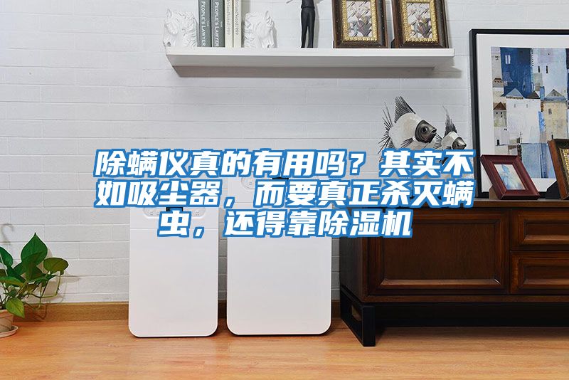 除螨儀真的有用嗎？其實不如吸塵器，而要真正殺滅螨蟲，還得靠除濕機