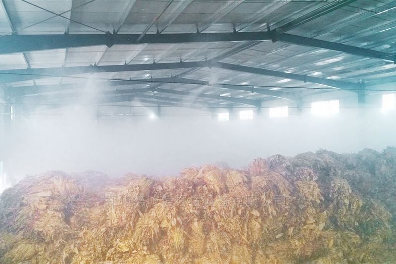 提升煙葉加工質(zhì)量,高效回潮很重要 煙葉除濕機